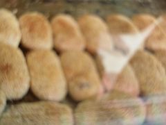 -江南蟹壳皇(新民桥店)