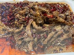 鸭舌-川道拐耗儿鱼(旗舰店)