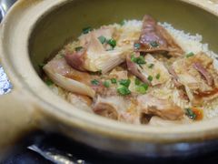 -红星光发煲仔饭(文海店)