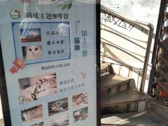 -猫咪博物馆(顶澳仔猫街店)