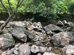 -白云源风景区
