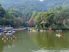 -广州市帽峰山景区