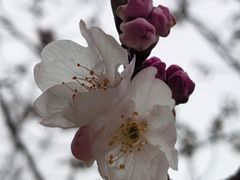 -西北湖绿化广场