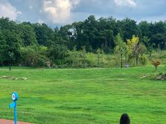 -云漫湖生态度假公园