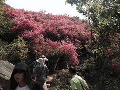 -木兰云雾山