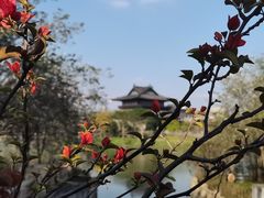 -海珠湖公园