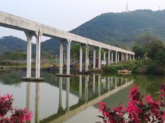 -艾米稻香小镇