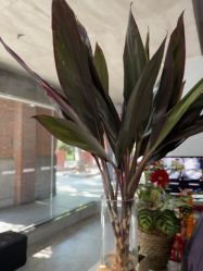 -CASTER跳舞俱乐部