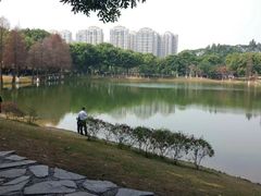 -东莞植物园