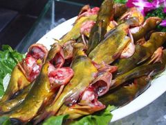黄辣丁-蛙一刀·麻椒鱼火锅(金仙桥店)
