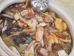 -杨记山珍鸡煲菌汤锅