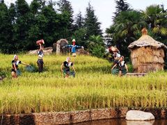 -云南民族村