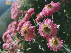 -杭州植物园