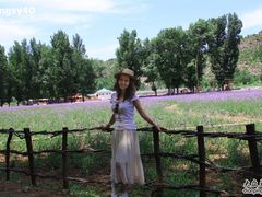 -紫海香堤香草艺术庄园