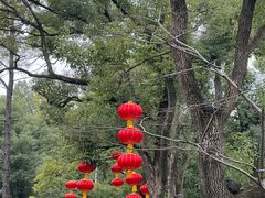 -东湖落雁景区