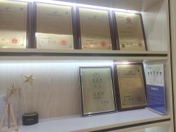 -碧莲盛·不剃发植发