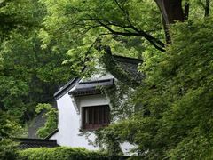-虎跑公园