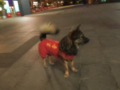 -金融街·静安中心