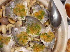 -新吉士·上海菜(浦东LCM置汇旭辉店)