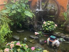 -园林美食城·本土农家菜(杨和镇店)