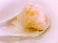 -汕头金乐大酒店