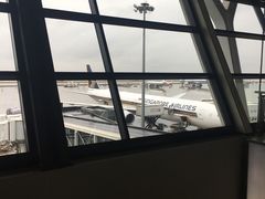 -新加坡航空公司(ION)