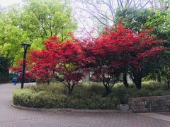 -苏州河梦清园环保主题公园