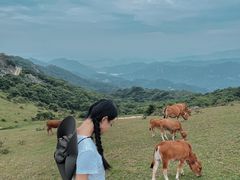 -大姆山草场