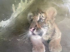 -西安秦岭野生动物园