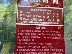-紫金山山顶公园