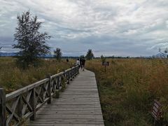 -野鸭湖国家湿地公园