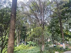 -成都市活水公园