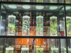 -广东中医药博物馆