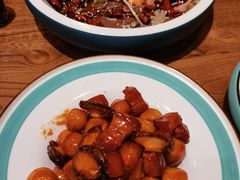 -东来菜馆•手抓海鲜家常菜•海鲜锅贴(鸽子窝店)