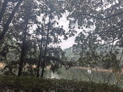 -石燕湖生态旅游景区