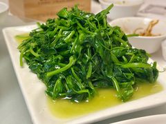 -龙抄手食府(浣花北路店)