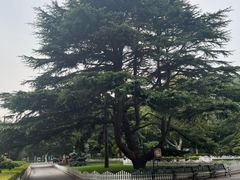 -青岛德国总督楼旧址博物馆