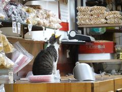 -方林富炒货店(武林路店)