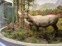 -北京麋鹿生态实验中心