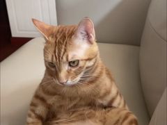 -爱侣宠医·鹦鹉专科·小型哺乳类·异宠专科(灵石路店)