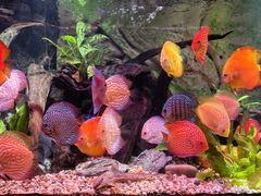 -上海海洋水族馆