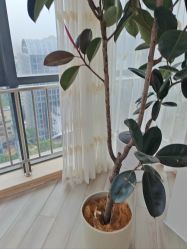 -HEYAN荷妍专业脱毛连锁机构