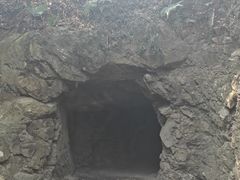 -上海佘山国家森林公园天马山园