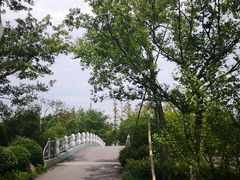 -上海长兴岛郊野公园