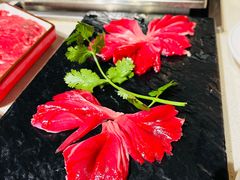 -红鼎坊·老成都火锅(新南门店)