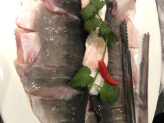 -鱼豆吉·豆浆鱼火锅(宜昌万达店)