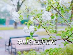 -中山公园