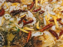 -新太二·鲜料川菜(智慧城广百店)