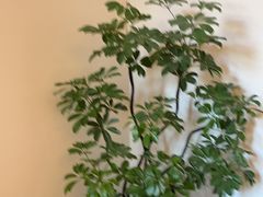 -悦融琥珀·京鲁菜·海味珍品(西单店)