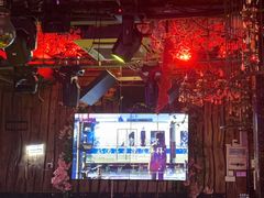 -喜鹊音乐酒馆(西街店)